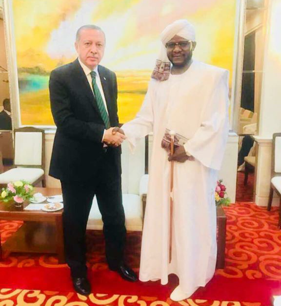 دينار اردوغان 