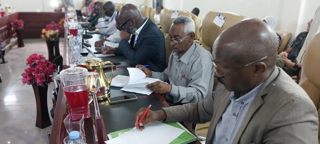 حكومة النيل الأبيض 