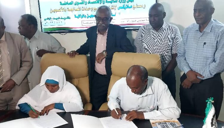 ولاية النيل الأبيض