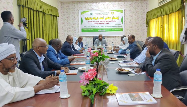 والي البحر الأحمر