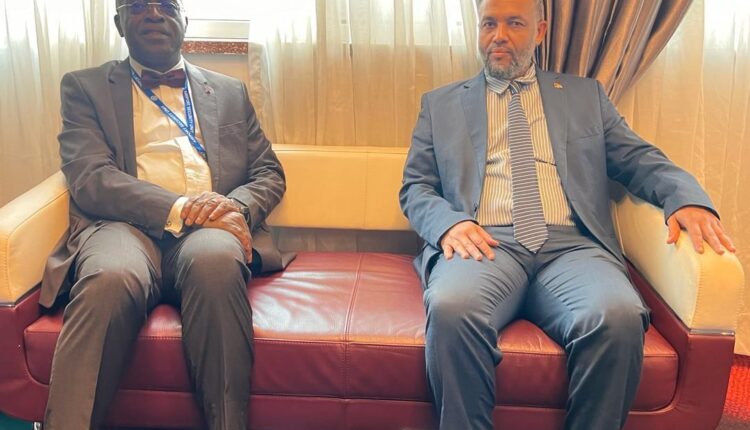 السودان يشارك في المؤتمر الوزاري للملاريا بالكاميرون