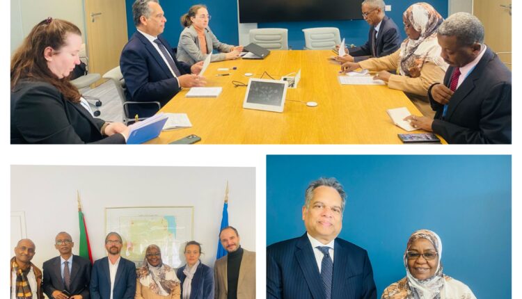 تفاصيل اجتماعات مفوض العون السودان بجنيف