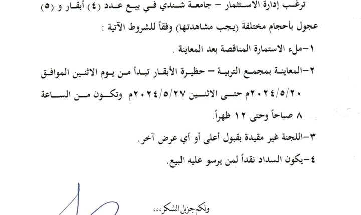 جامعة شندي تعلن عن دلالة لبيع (4 بقرات) و (5 عجول)