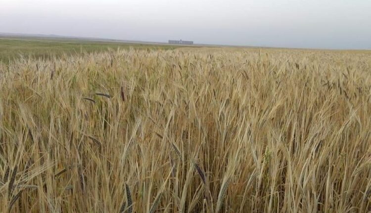 وزير الطاقة : جاهزون لإنجاح الموسم الزراعي