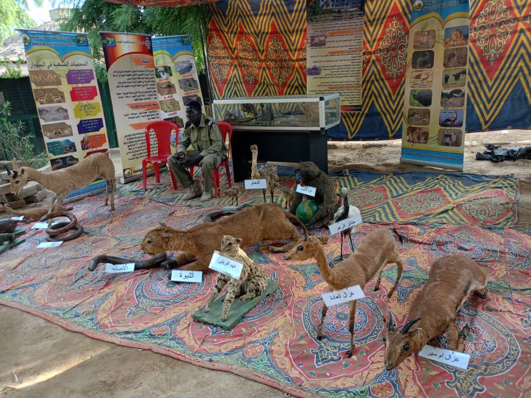 جهود قوات الحياة البرية بكسلا تكشف سر الحياة 