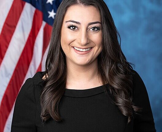 الكونغرس يتسلم مشروعا يحظر بيع الأسلحة الأمريكية للإمارات